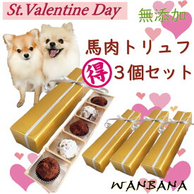 楽天市場 プレゼントボックス 箱 おやつ ドッグフード サプリメント 犬用品 ペット ペットグッズの通販 楽天市場 プレゼントボックス 箱 おやつ ドッグフード サプリメント 犬用品 ペット ペットグッズの通販