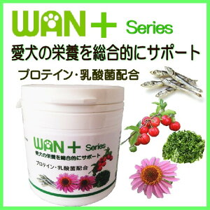 pTvg ̌NI[T|[g WANvX ςE_۔z 100VRƉu̓Abv VjA V WANBANAK̔X