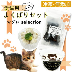 Lp 悭΂~jZbg/܂ZNV/JbvP[LEJbv͂E܂W[L[/Y ˂D!^pNՂŉh{_!J[!AM