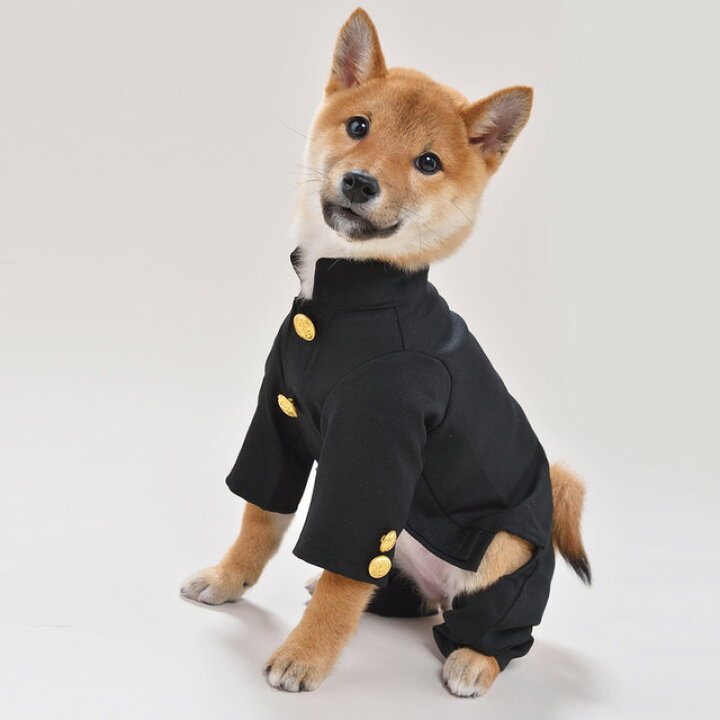 楽天市場】学生服S/M/L和風あるくろぉす犬の服 犬服 ドッグウェア トイ 