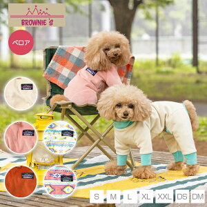 y2021NfzANeBup[X BROWNIE'S-uEj[Y- S/M/L/XL(2L)/XXL(3L) BR21AW