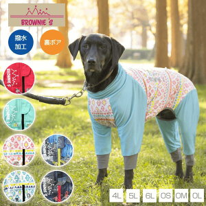 y2021NfzANeBup[X Xm[EFA ^ ^ 4L/5L/6L/OS/OM/OL BROWNIE'S-uEj[Y- BR21AW