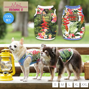 bV썑^N S/M/L/2L/3L BROWNIE'S-uEj[Y-  hbOEFA gCv[h ` |jA