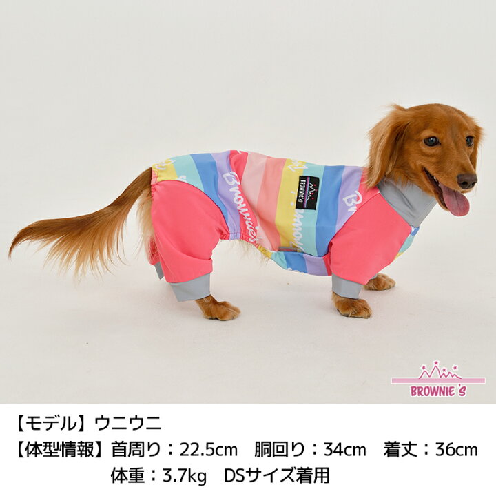 楽天市場】【2021年モデル】アクティブロンパース 犬用ラッシュガード 