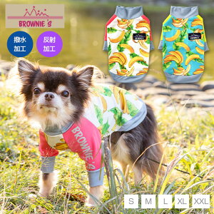 y2022NfzANeBuTVc S/M/L/XL/XXL BROWNIE'S-uEj[Y-  hbOEFA ^ BR22SS