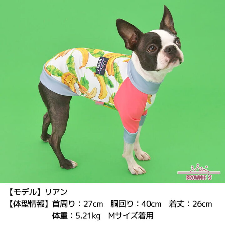 楽天市場】アクティブTシャツ S/M/L/XL/XXL BROWNIE'S-ブラウニーズ- 犬服 ドッグウェア トイプードル チワワ ポメラニアン 部屋着 散歩 キャンプ 犬の服 小型犬 雨の日 BR22SS : WAN VOYAGE 楽天市場】アクティブTシャツ S/M/L/XL/XXL BROWNIE'S-ブラウニーズ- 犬服 ドッグウェア トイプードル チワワ ポメラニアン 部屋着 散歩 キャンプ 犬の服 小型犬 雨の日 BR22SS : WAN VOYAGE