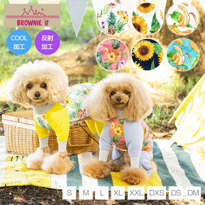 y2022NfzbVAN S/M/L/XL/XXL/DXS/DS/DM ANeBup[X pbVK[h BROWNIE'S-uEj[Y-  hbOEFA gCv[h ` |jA  U L