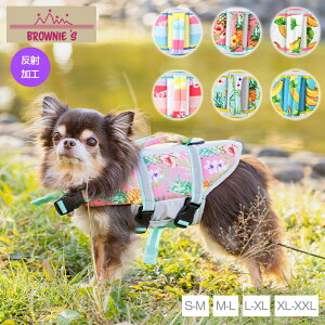 y2022NfzCtWPbg S-M/M-L/L-XL/XL-XXL BROWNIE'S-uEj[Y-  hbOEFA gCv[h ` |jA Lv ̕ ^ J̓ BR22SS