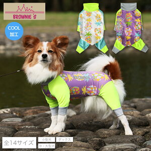 y2023Nfz􉽊wpCbVAN S/M/L/XL/XXL/DXS/DS/DM/4L/5L/6L/OS/OM/OL ANeBup[X pbVK[h BROWNIE'S-uEj[Y- ^ ^  hbOEFA BR23SS