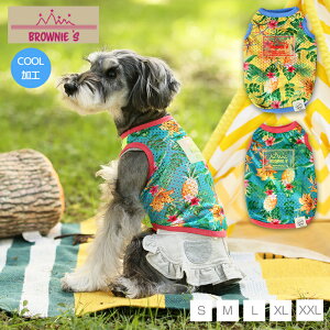 gsJbV^N S/M/L/XL/XXL BROWNIE'S-uEj[Y-  hbOEFA gCv[h ` |jA BR23SS