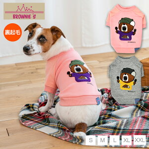 N}J[g[i[ S/M/L/XL/XXL BROWNIE'S-uEj[Y-  hbOEFA ^ BR24AW