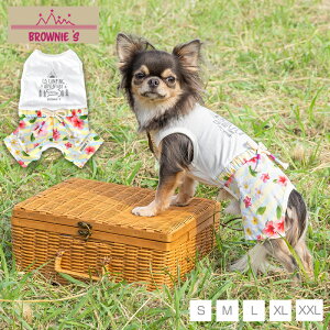 ԕȂ S/M/L/XL/XXL BROWNIE'S-uEj[Y-  hbOEFA ^ BR25SS