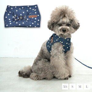 CRAZYBOO / NCW[u[ X^[ n[lX XS / S / M / LTCY  / ̕ / hbOEFA