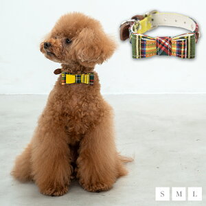 CRAZYBOO / NCW[u[ CG[`FbNJ[ S / M / LTCY  / ̕ / hbOEFA