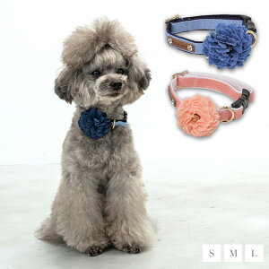 CRAZYBOO / NCW[u[t[ J[S / M / LTCY / ̕ / hbOEFA