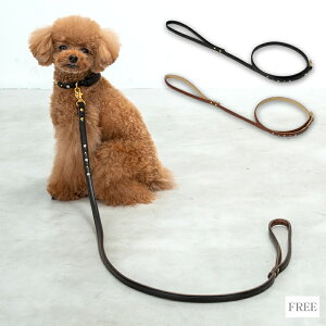 CRAZYBOO / NCW[u[Xt [h / ̕ / hbOEFA