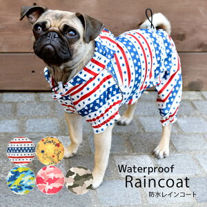 D's chat-fB[Y`bg- hCR[g XS/S/M/DS/L/DM/XL/XXL/4L/5L/6L/OS/OM/OL J̓