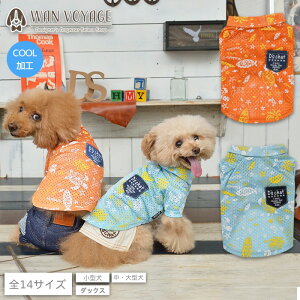 AnbVVc XS/S/M/L/XL/XXL/DS/DM/4L/5L/6L/OS/OM/OL D's Chat-fB[Y`bg-  hbOEFA ^ _bNX ^ DS21SS