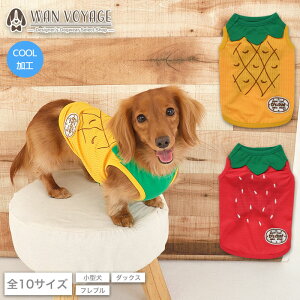 Ȃ肫t[c^N XS/S/M/L/XL/XXL/DS/DM/DL/FB D's Chat-fB[Y`bg-  hbOEFA ^ _bNX tu DS21SS