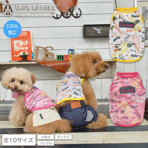 vgbV^N XS/S/M/L/XL/XXL/DS/DM/DL/FB D's Chat-fB[Y`bg-  hbOEFA ^ _bNX tu DS21SS