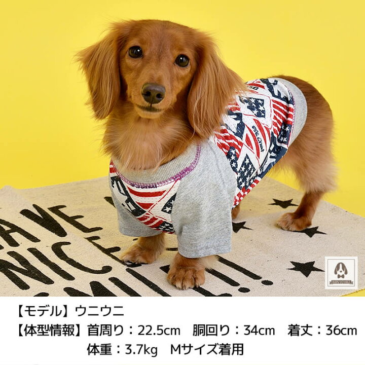 楽天市場】アメリカンメッシュTシャツ XS/S/M/L/XL/XXL/DS/DM/4L/5L/6L 