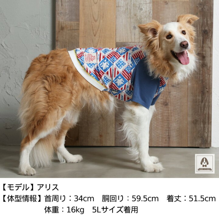 楽天市場】アメリカンメッシュTシャツ XS/S/M/L/XL/XXL/DS/DM/4L/5L/6L 