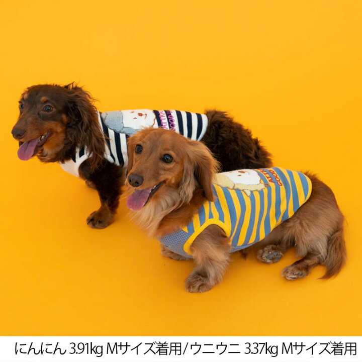 楽天市場】ディーズ君もこもこタンク XS/S/M/L/XL/XXL/DS/DM/DL/FBM 