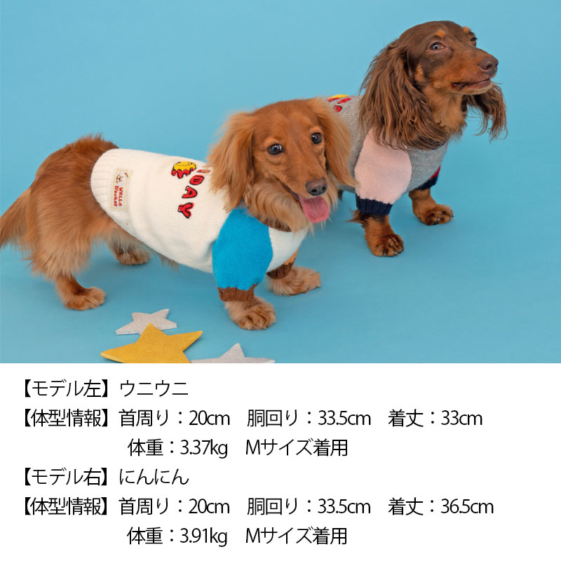 HOLIDAYセーター XS/S D's Chat-ディーズチャット- 犬服 ドッグウェア 小型犬 トイプードル チワワ ポメラニアン  DS22AW WAN VOYAGE