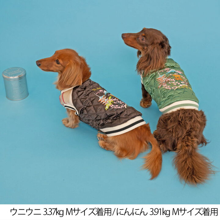 FUJIYAMAスカジャン XS/S D's Chat-ディーズチャット- 犬服 ドッグウェア 小型犬 トイプードル チワワ ポメラニアン  DS22AW WAN VOYAGE