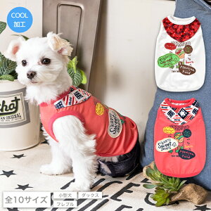 ug[bV^N XS/S/M/L/XL/XXL/DS/DM/DL/FBM D's Chat-fB[Y`bg-  hbOEFA ^ _bNX tu DS22SS