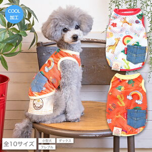 �T�t�@�������b�V���^���N XS/S/M/L/XL/XXL/DS/DM/DL/FBM D's Chat-�f�B�[�Y�`���b�g- ���� �h�b�O�E�F�A ���^�� �_�b�N�X �t���u�� DS22SS