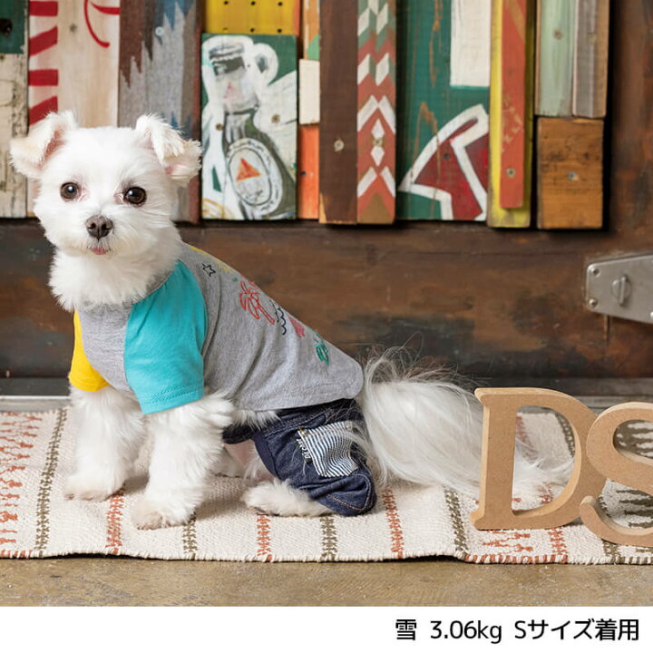 楽天市場 アシメポップtシャツ Xl Xxl Ds Dm D S Chat ディーズチャット 犬服 ドッグウェア 小型犬 トイプードル チワワ ポメラニアン Ds22ss Wan Voyage