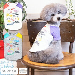 AV|bvTVc XS/S/M/L/XL/XXL/DS/DM D's Chat-fB[Y`bg-  hbOEFA ^ _bNX DS22SS