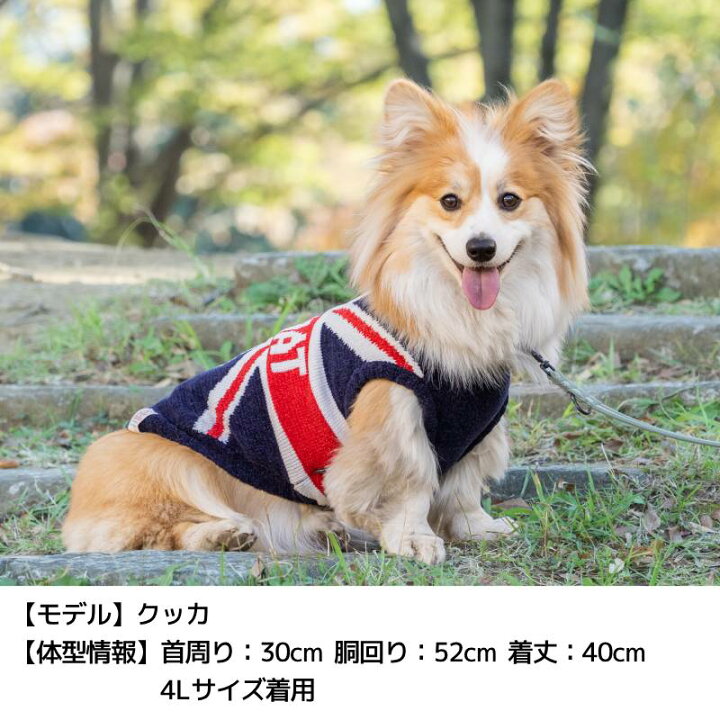楽天市場】国旗柄ニット S/M/L/XL/XXL/DXS/DS/DM/FBS/FBM/FBL/4L/5L/6L 