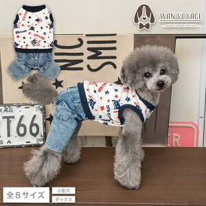 AJfjȂ(AJxAȂ) XS/S/M/L/XL/XXL/DS/DM D's Chat-fB[Y`bg-  hbOEFA ^ _bNX DS23AW