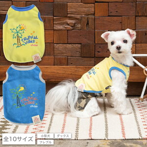 T}[hJpC^N XS/S/M/L/XL/XXL/DS/DM/DL/FBM D's Chat-fB[Y`bg-  hbOEFA ^ _bNX tu DS23SS