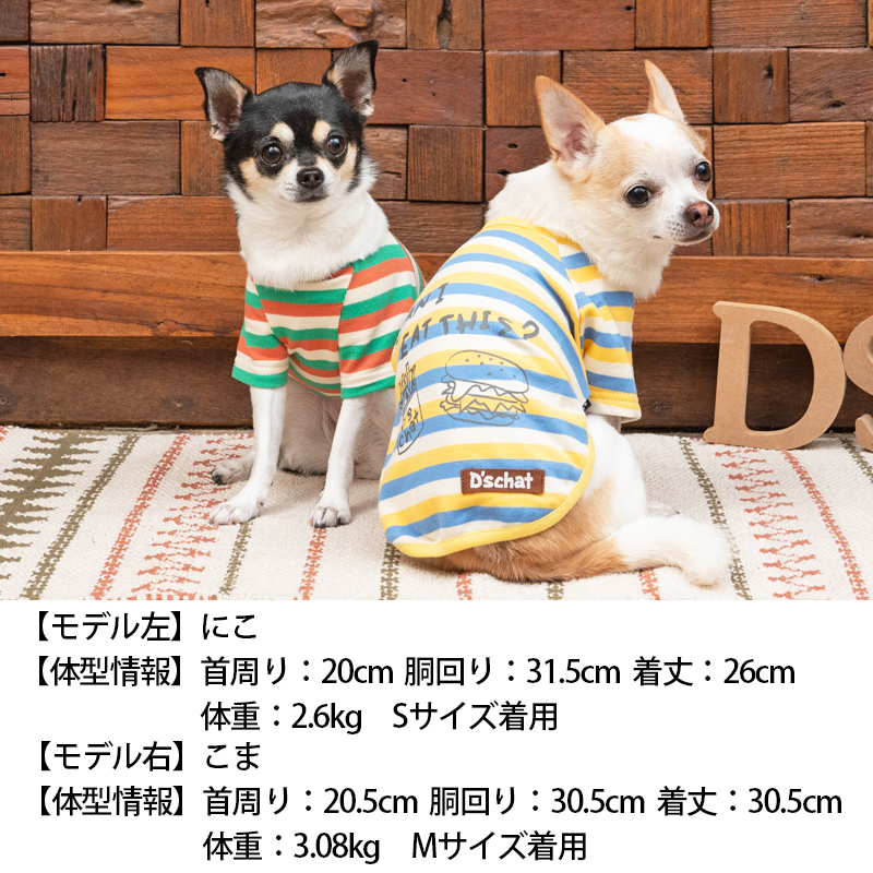 マルチカラーTシャツ M/L/DS/DM D's Chat-ディーズチャット- 犬服 ドッグウェア 小型犬 トイプードル チワワ  ポメラニアン ダックス DS23SS WAN VOYAGE