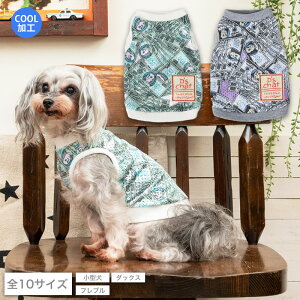 }l[bV^N XS/S/M/L/XL/XXL/DS/DM/DL/FBM D's Chat-fB[Y`bg-  hbOEFA ^ _bNX tu DS23SS