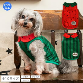 スイカ襟付きメッシュタンク XS/S/M/L/XL/XXL/DS/DM/DL/FBM D's Chat-ディーズチャット- 犬服 ドッグウェア 小型犬 ダックス フレブル DS23SS
