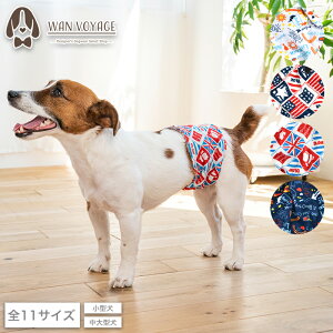 Jt}i[xg S/M/L/XL/XXL/4L/5L/6L/OS/OM/OL D's Chat-fB[Y`bg-  ^ ^ ^ hbOEFA DS24AW