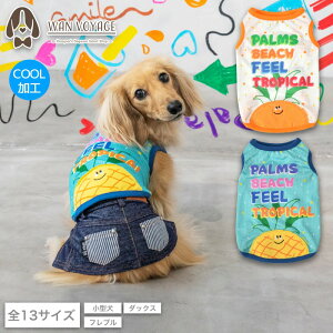 gsJbV^N XS/S/M/L/XL/XXL/DXS/DS/DM/DL/FBS/FBM/FBL D's Chat-fB[Y`bg-  ^ hbOEFA DS24SS