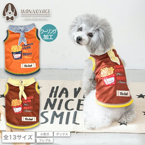 |egZ[[^N XS/S/M/L/XL/XXL/DXS/DS/DM/DL/FBS/FBM/FBL D's Chat-fB[Y`bg-  ^ hbOEFA iĐUė⊴ Ђ ₽ N[ ėp DS25SS
