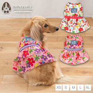 gsJVtHs XS/S/M/L/XL D's Chat-fB[Y`bg-  ^ hbOEFA DS25SS