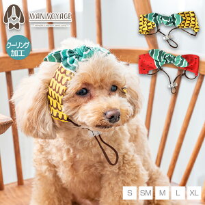 t[cN[Ooh S/SM/M/L/XL D's Chat-fB[Y`bg-  ^ hbOEFA DS25SS