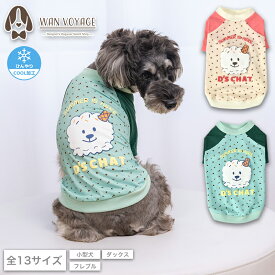 ディーズ君ラグランTシャツ XS/S/M/L/XL/XXL/DXS/DS/DM/DL/FBS/FBM/FBL D's Chat-ディーズチャット- 犬服 小型犬 ダックス フレブル ドッグウェア COOL クール ひんやり 春夏 DS26SS