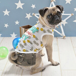 D's CHAT/fB[Y`bg D's Jt XJ[g XS/S/M/L/XLTCY ^/`/gCv[h/[L[  /@̕/hbOEFA