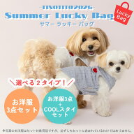 【数量限定★福袋】【6月26日以降順次発送】 春夏お洋服セット・COOLスタイセット TINOTITO ティノティー…