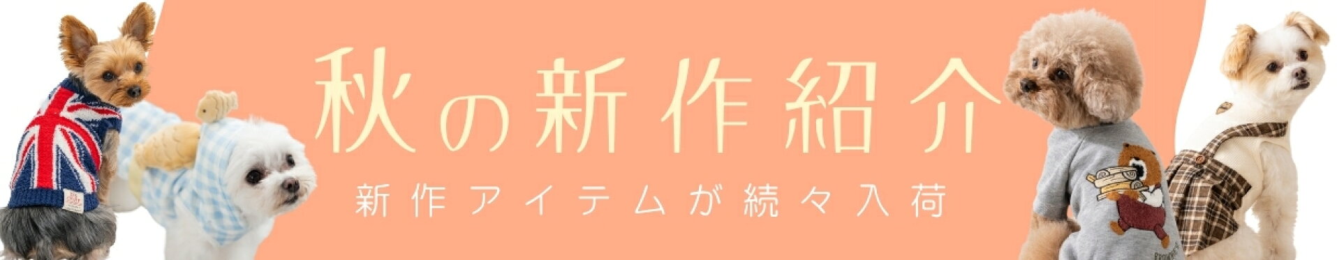 TT/DU新作