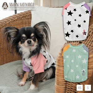 ����T�V���c XS/S/M/L/DS/DM/XL/XXL Jekyll Egg-�W�L���G�b�O- ���� ���� �h�b�O�E�F�A �g�C�v�[�h�� �`���� �|�����j�A�� JE22AW