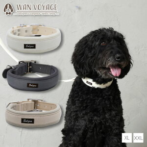 i`jbgJ[ XL/XXL Solgra-\O- ^p  gCv[h ` |jA SO23SS